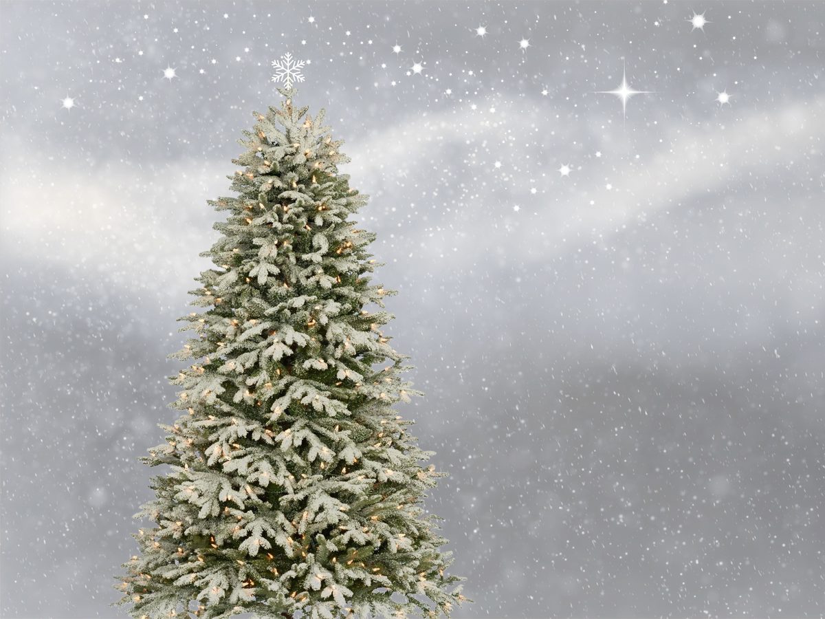 Sapin de Noël couvert de neige sous un ciel d'hiver étoilé