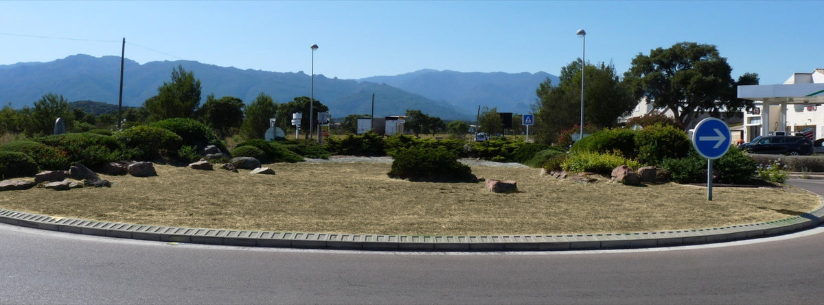 Rond-point communal à l'herbe sèche et jaunie par la sécheresse, avant traitement