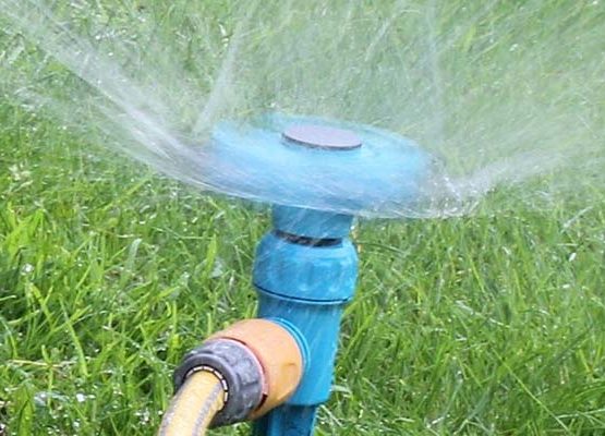 BLOG - WATER Needs Lawn garden-2591363