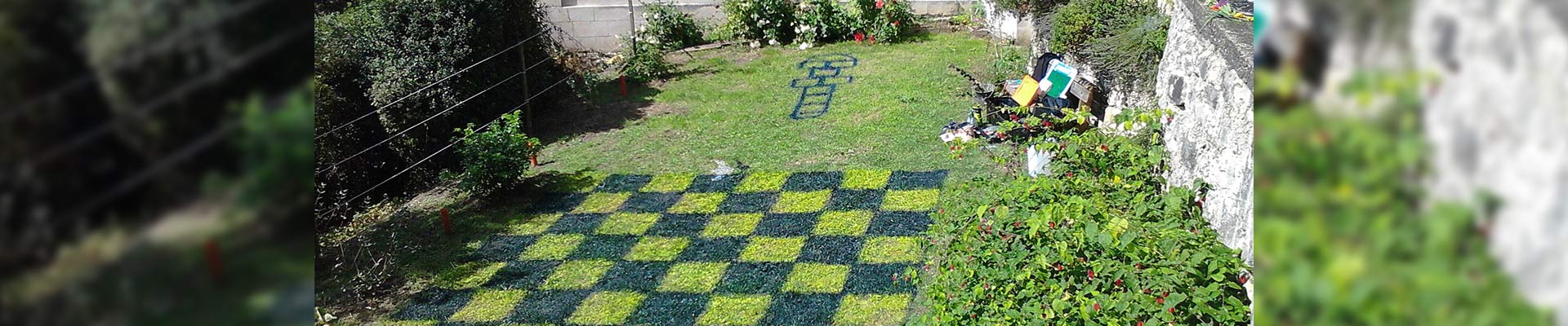 Games in the garden, chess, checkerboards, twister, children's surprise