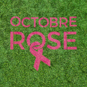 logotipo rosa de outubro